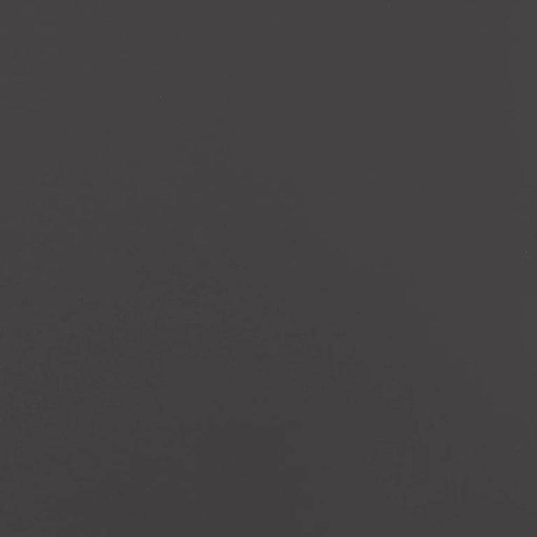 Salontafel 67x50x44 cm staal zwart