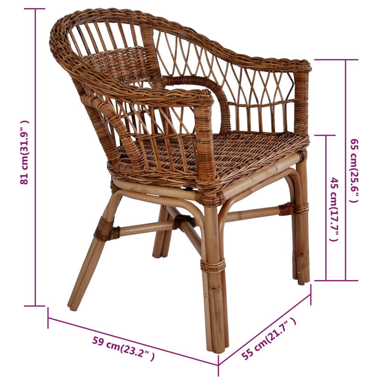 Tuinstoelen 2 st natuurlijk rattan bruin MeubelReus