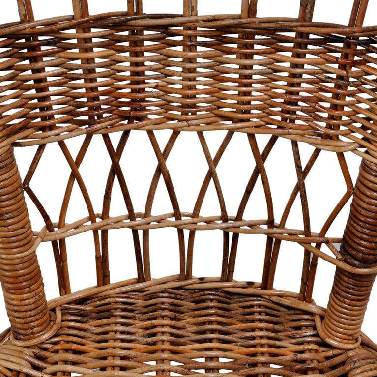 Tuinstoelen 4 st natuurlijk rattan bruin MeubelReus