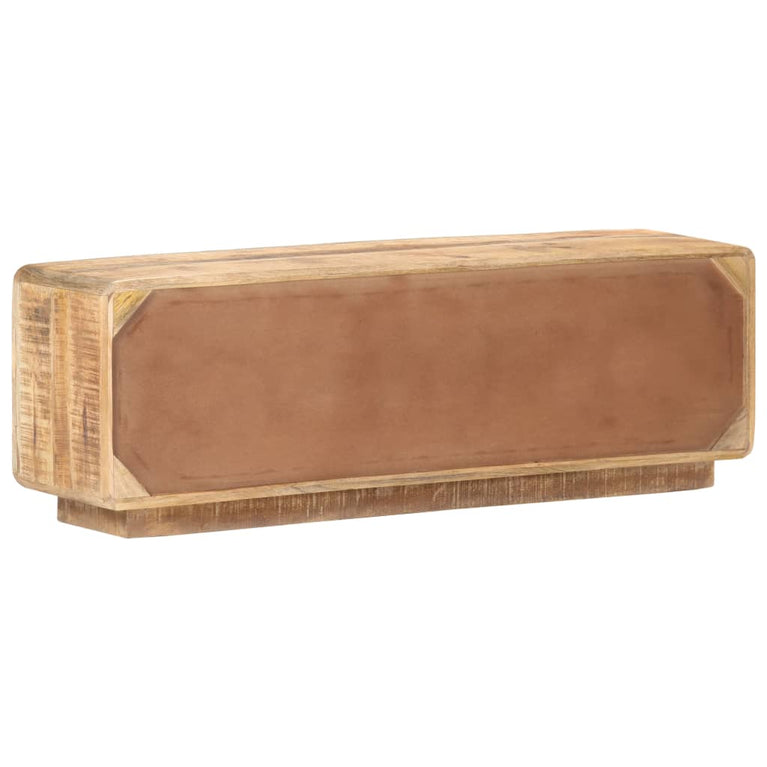 Tv-meubel 120x30x40 cm ruw mangohout MeubelReus