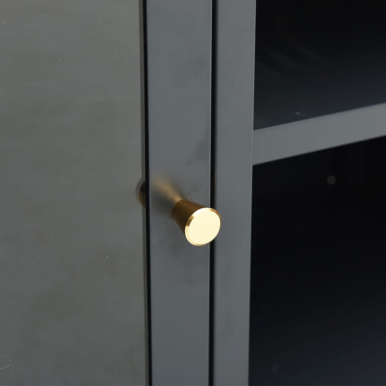 Tv-meubel 105x35x52 cm staal en glas antracietkleurig MeubelReus