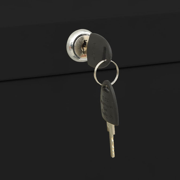 Archiefkast 90x46x164 cm staal zwart MeubelReus