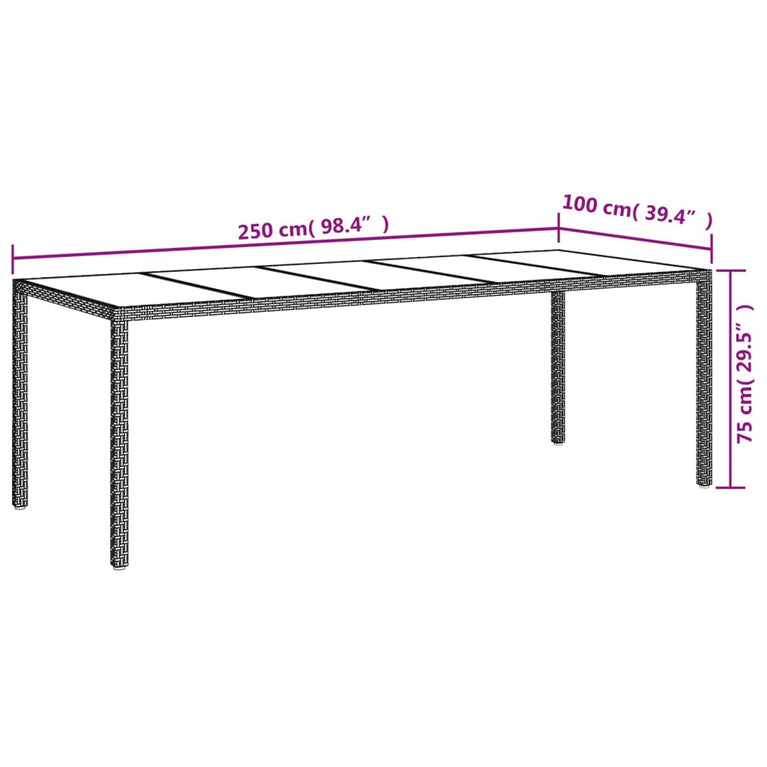 Tuintafel 250x100x75 cm gehard glas en poly rattan zwart MeubelReus