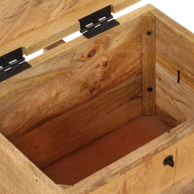 Opbergbox 39x28x31 cm massief mangohout MeubelReus