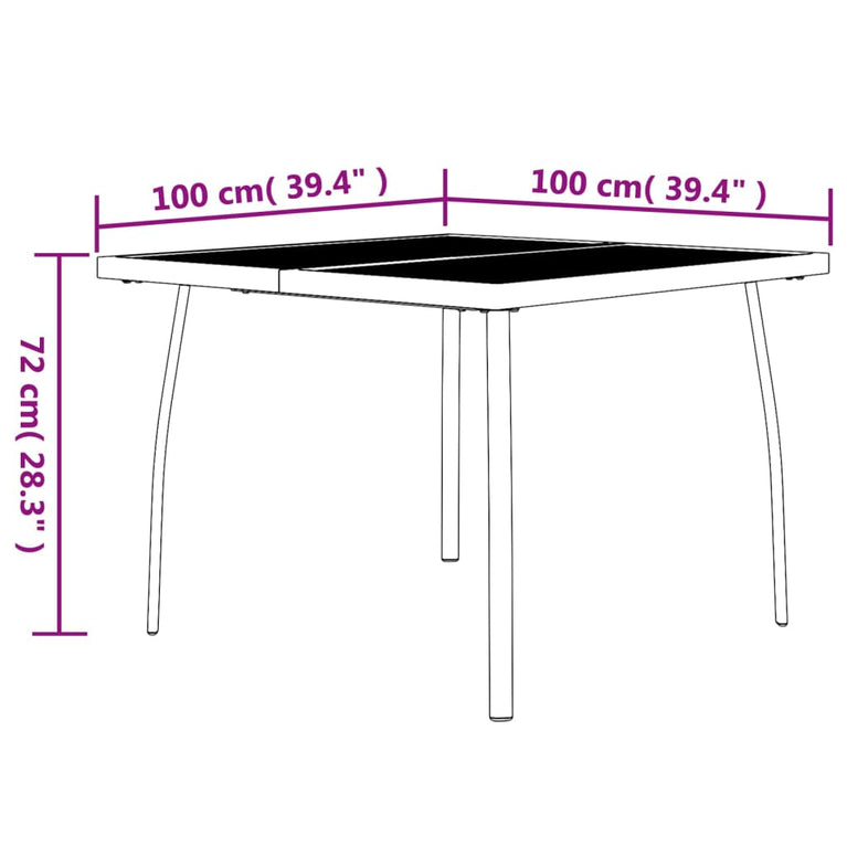 Tuintafel 100x100x72 cm staalgaas antracietkleurig MeubelReus