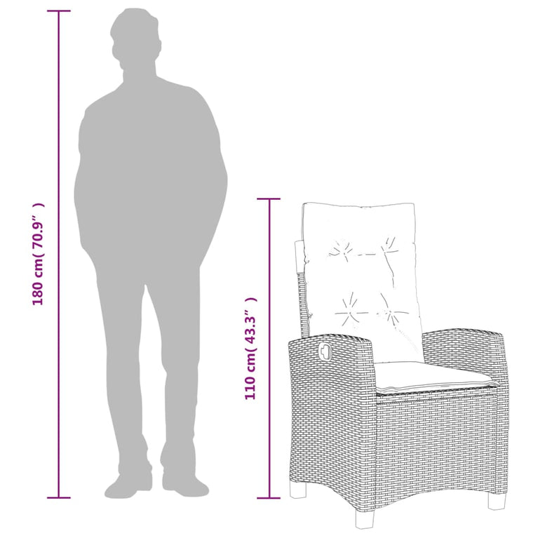 5-delige Tuinset met kussens poly rattan gemengd beige