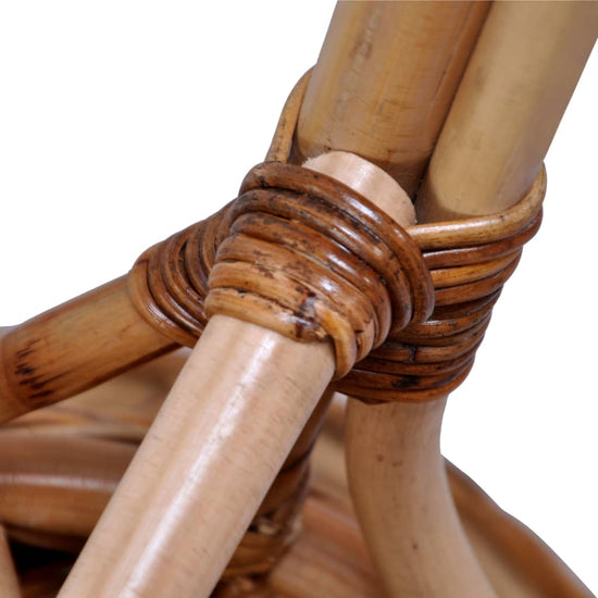 Tuinstoelen 2 st natuurlijk rattan bruin MeubelReus