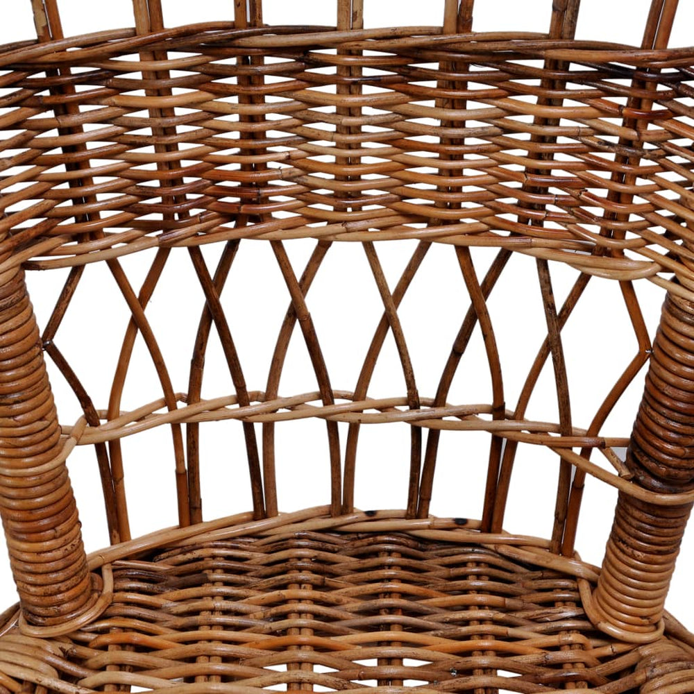 Tuinstoelen 6 st natuurlijk rattan bruin MeubelReus