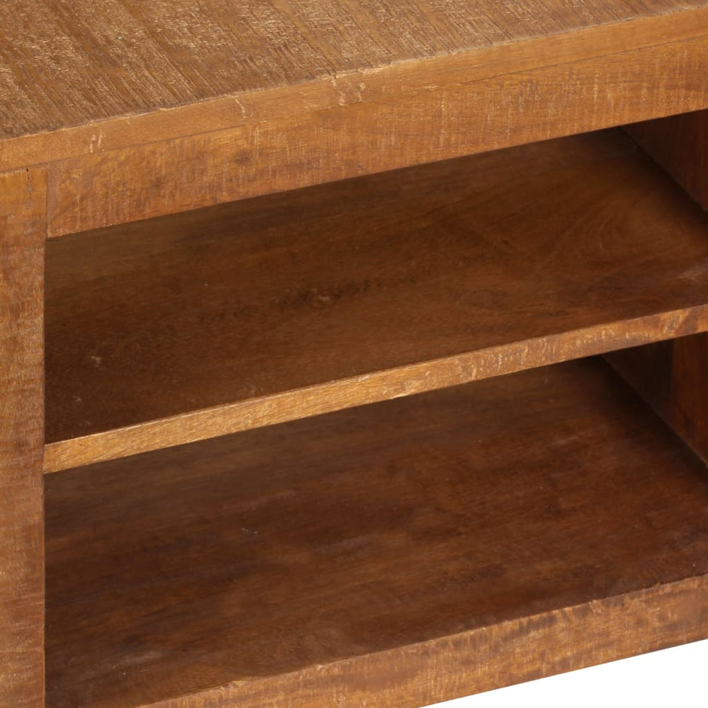 Tv-meubel 120x30x40 cm massief mangohout MeubelReus