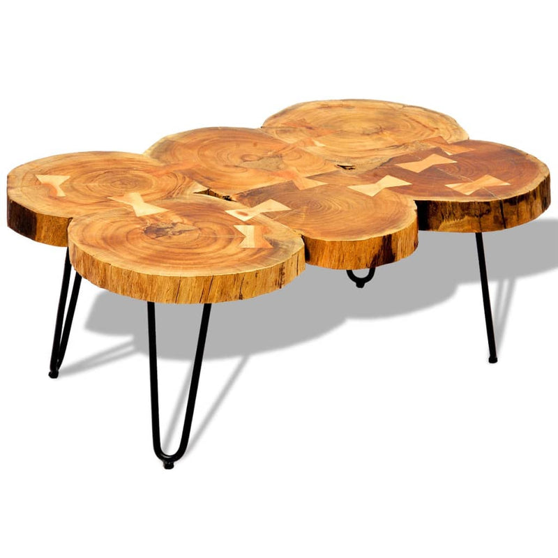 Salontafel met 6 boomstammen 35 cm massief sheeshamhout MeubelReus