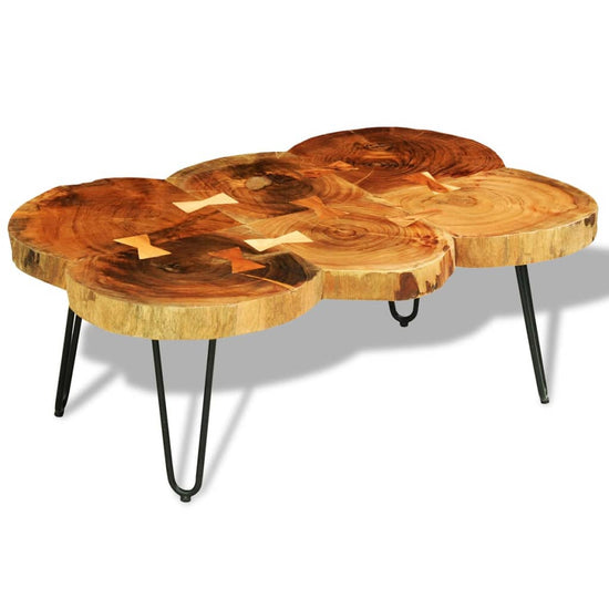 Salontafel met 6 boomstammen 35 cm massief sheeshamhout MeubelReus
