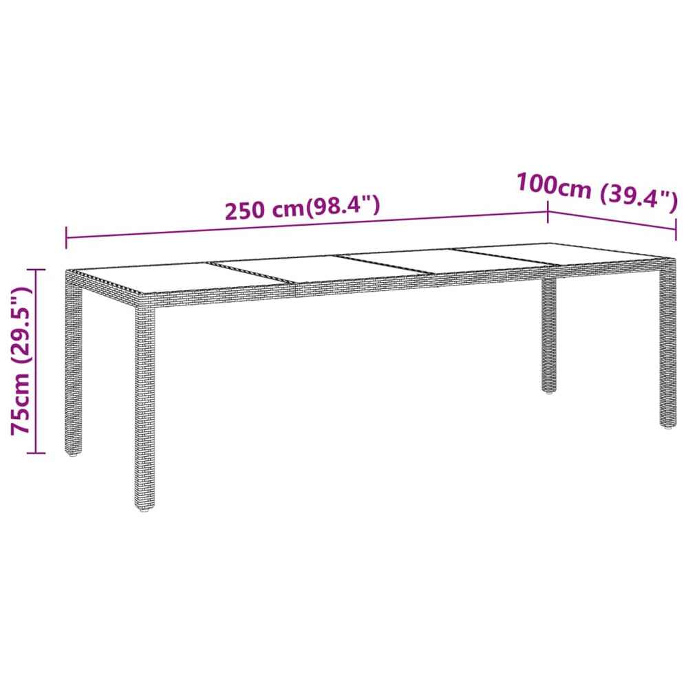 Tuintafel 250x100x75 cm gehard glas en poly rattan zwart MeubelReus