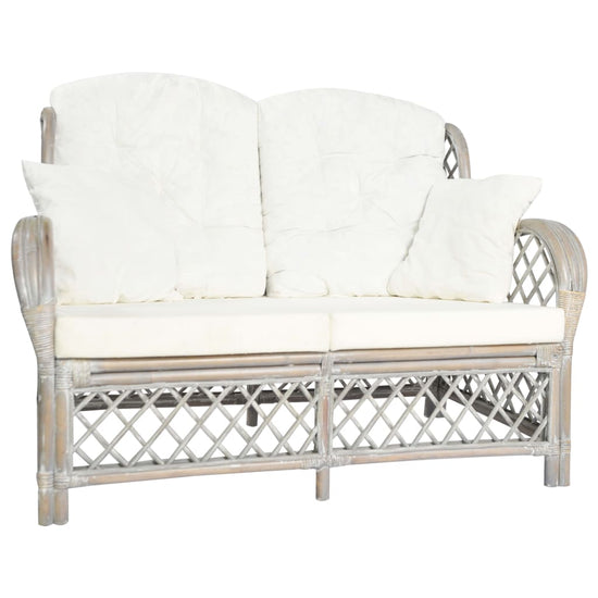 Tweezitsbank rattan grijs MeubelReus