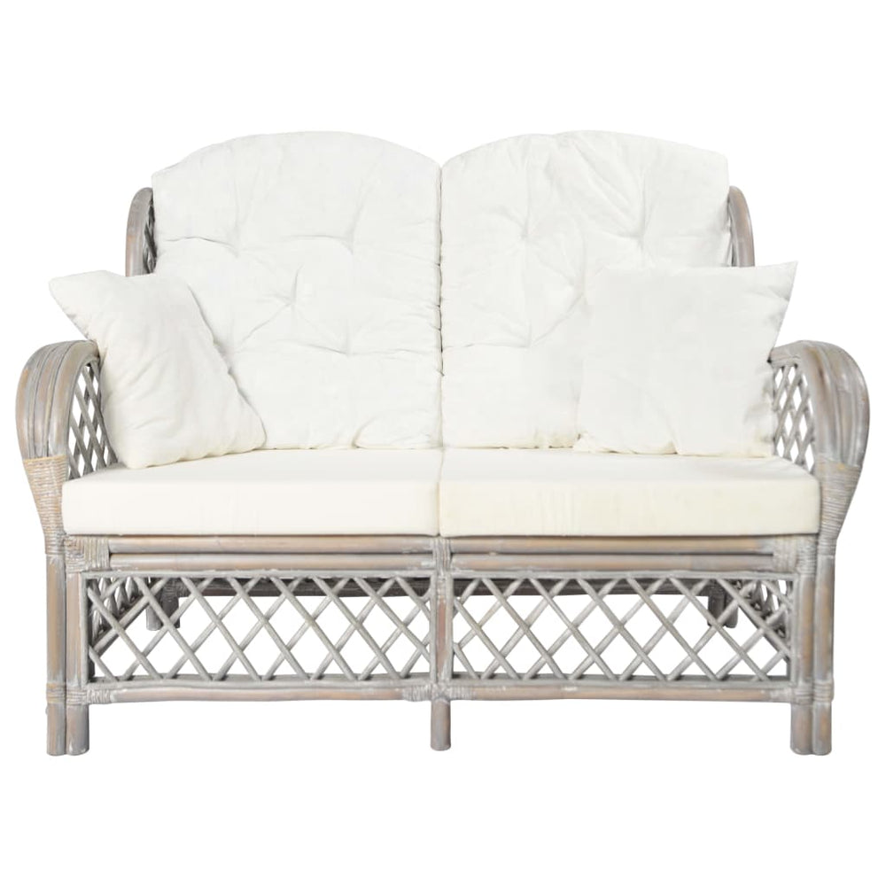 Tweezitsbank rattan grijs MeubelReus