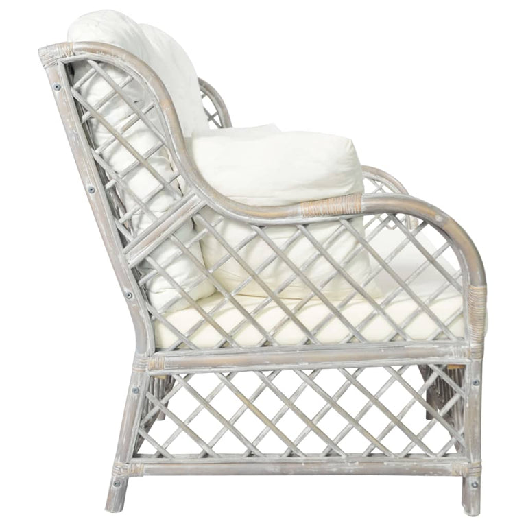 Tweezitsbank rattan grijs MeubelReus