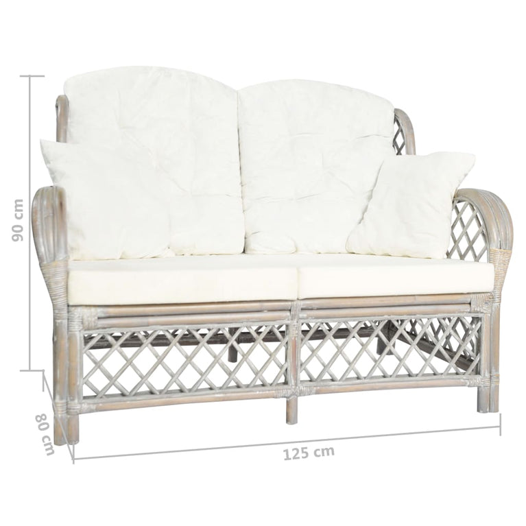 Tweezitsbank rattan grijs MeubelReus