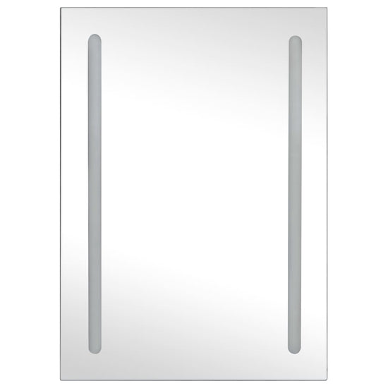 Badkamerkast met spiegel en LED 50x13x70 cm MeubelReus