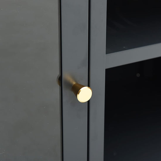 Tv-meubel 105x35x52 cm staal en glas antracietkleurig MeubelReus