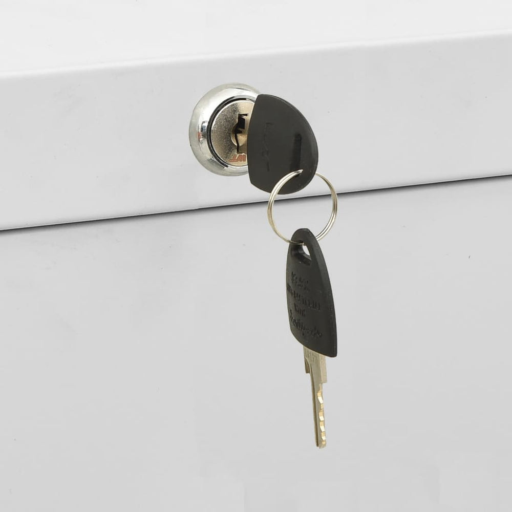 Archiefkast 90x46x72,5 cm staal lichtgrijs MeubelReus