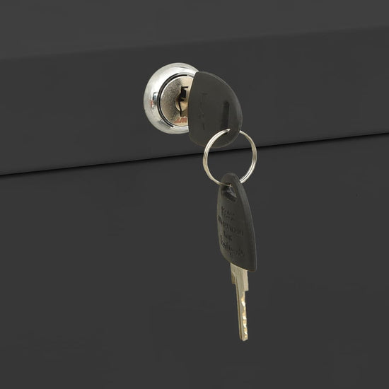 Archiefkast 90x46x72,5 cm staal antracietkleurig MeubelReus