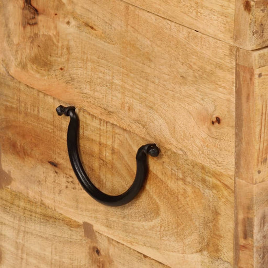 Opbergbox 39x28x31 cm massief mangohout MeubelReus
