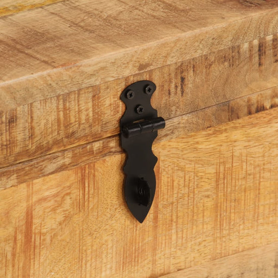 Opbergbox 39x28x31 cm massief mangohout MeubelReus