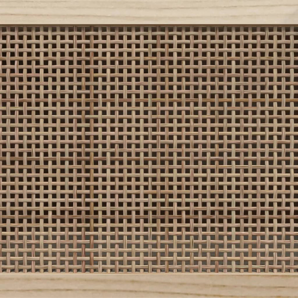 Tv-meubel 105x30x40 cm massief grenenhout en rattan zwart MeubelReus