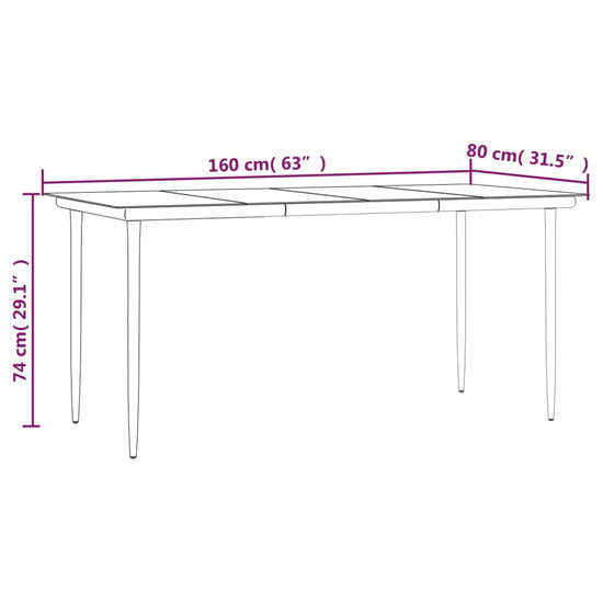 Tuintafel 160x80x74 cm staal en gehard glas zwart MeubelReus