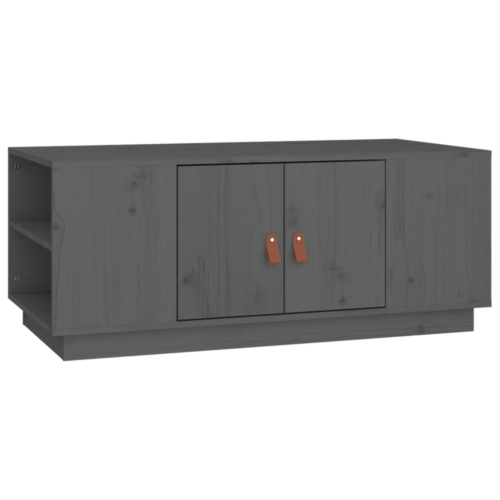 Salontafel 100x50x41 cm massief grenenhout grijs MeubelReus