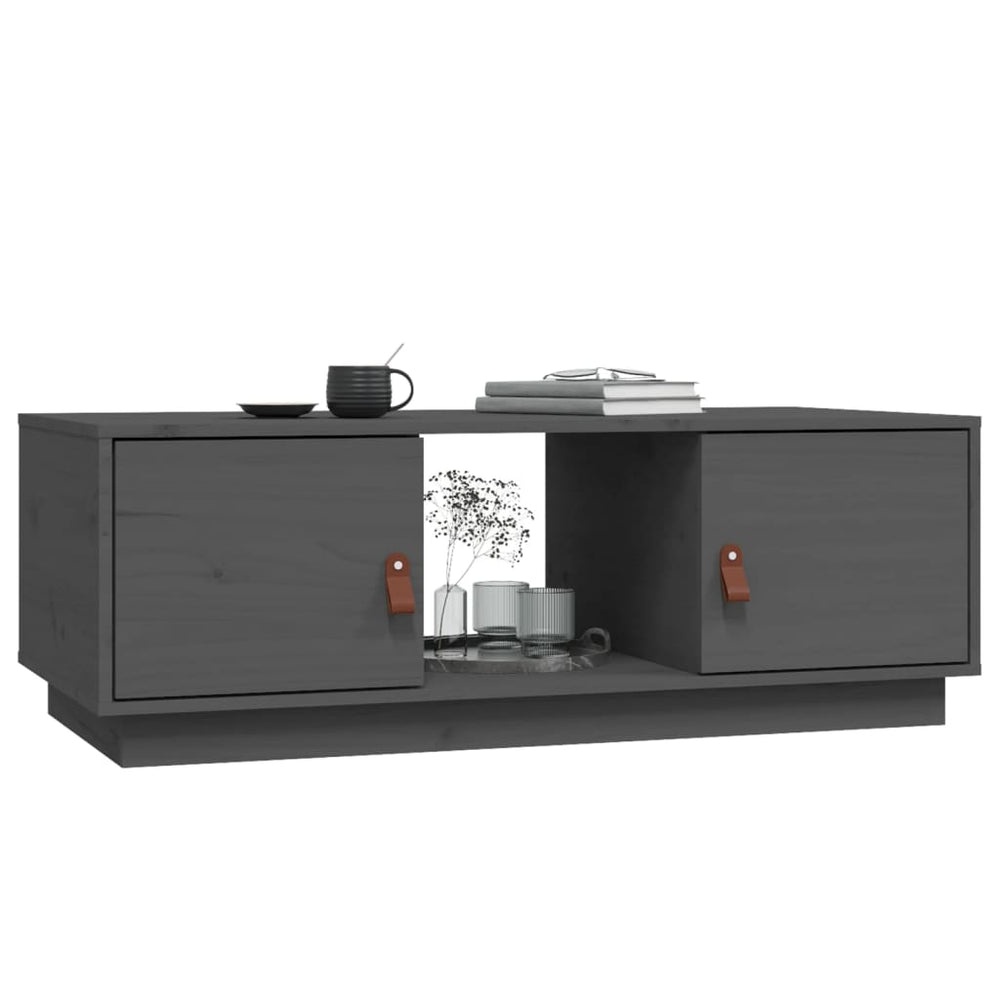 Salontafel 100x50x35 cm massief grenenhout grijs MeubelReus