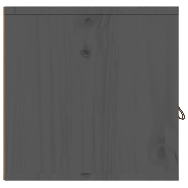 Wandkast 60x30x30 cm massief grenenhout grijs MeubelReus