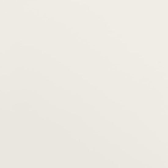 Archiefkast 90x40x200 cm staal antracietkleurig en wit MeubelReus