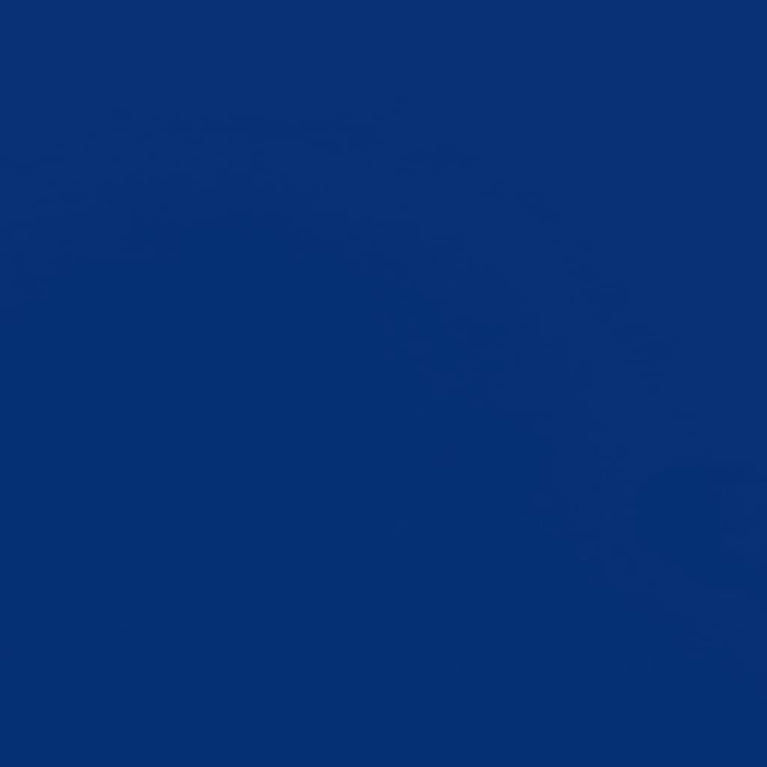 Archiefkast 90x40x200 cm staal lichtgrijs en blauw MeubelReus